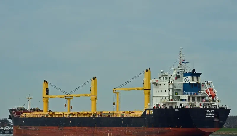 TRUDY Bulk Carrier IMO 9415246 photo 9