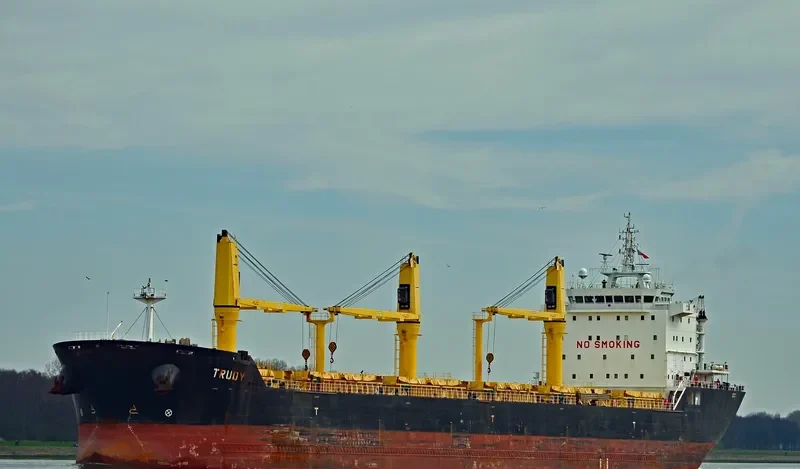 TRUDY Bulk Carrier IMO 9415246 photo 10
