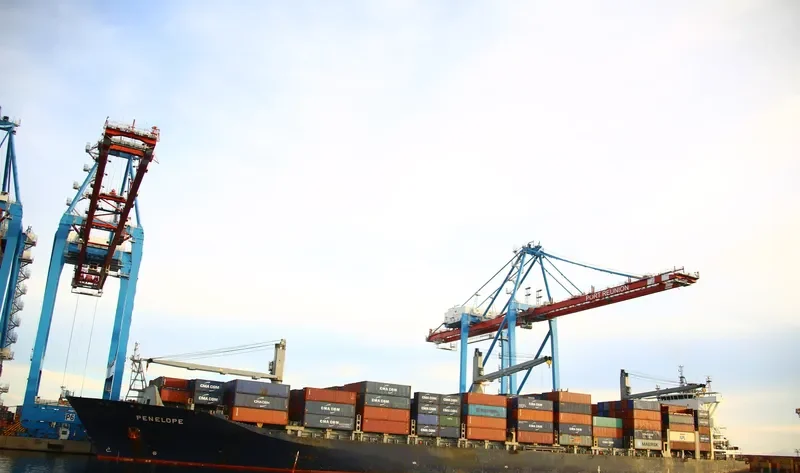 MSC GRETA III Container Ship IMO 9415296 photo 2
