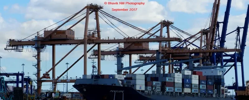 MSC GRETA III Container Ship IMO 9415296 photo 5