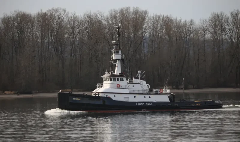 MIKIONA General Cargo IMO 9415583 photo 2