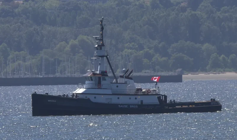 MIKIONA General Cargo IMO 9415583 photo 6