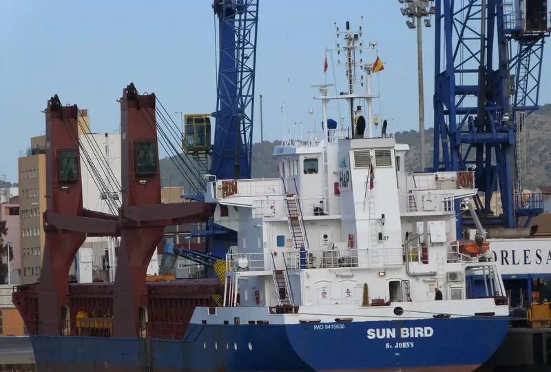SUN BIRD General Cargo IMO 9415636 photo 9