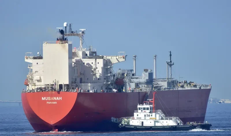 MUSANAH General Cargo IMO 9415648 photo 10