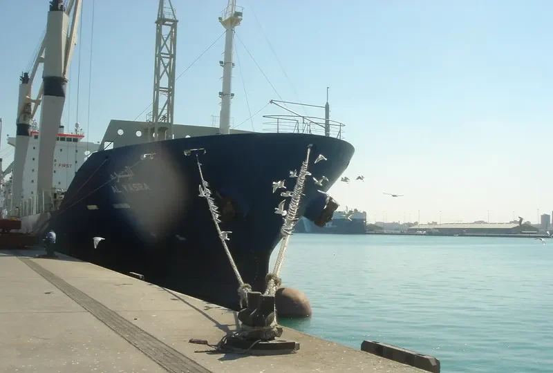 POS SHANGHAI Container Ship IMO 9415985 photo 4
