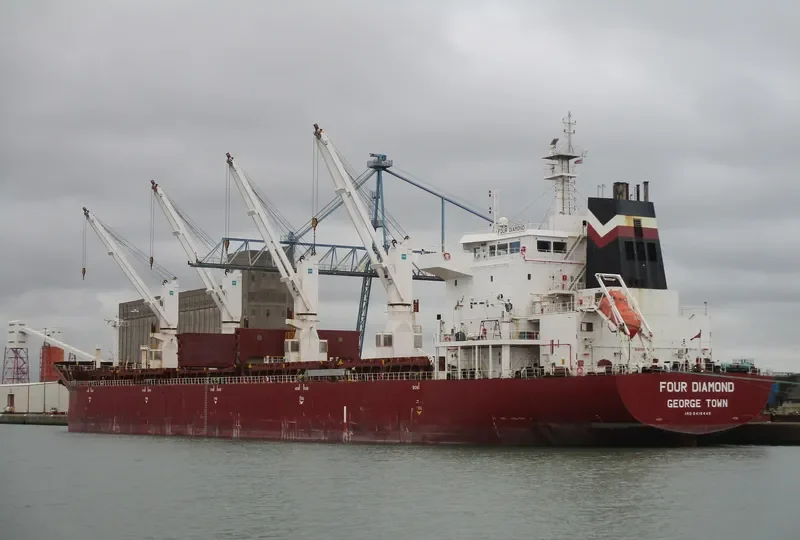 FOUR DIAMOND Bulk Carrier IMO 9416446 photo 3