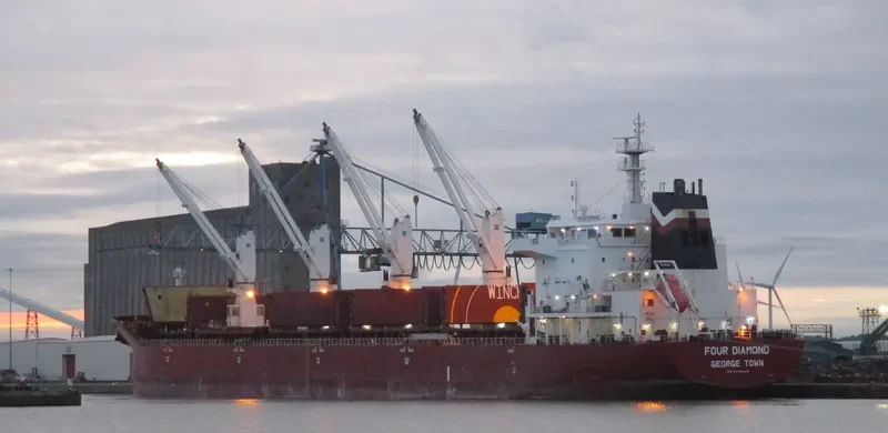 FOUR DIAMOND Bulk Carrier IMO 9416446 photo 4