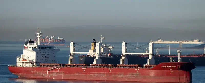 FOUR DIAMOND Bulk Carrier IMO 9416446 photo 5
