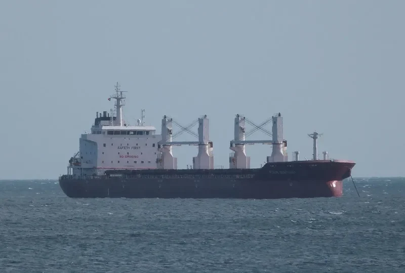 FOUR DIAMOND Bulk Carrier IMO 9416446 photo 7