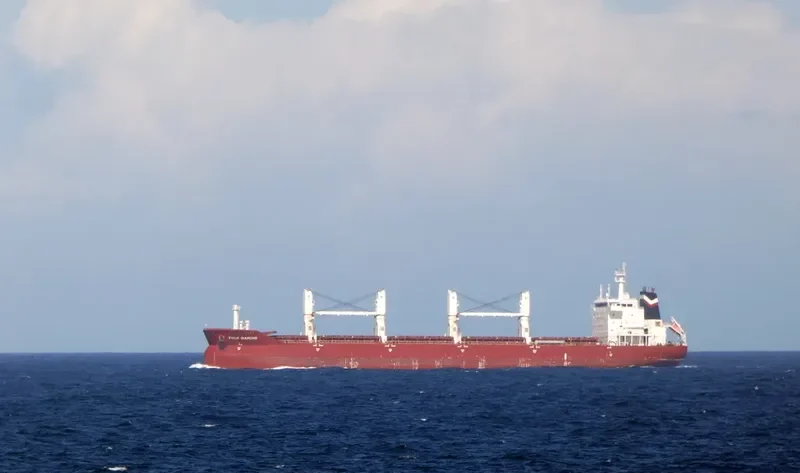 FOUR DIAMOND Bulk Carrier IMO 9416446 photo 8
