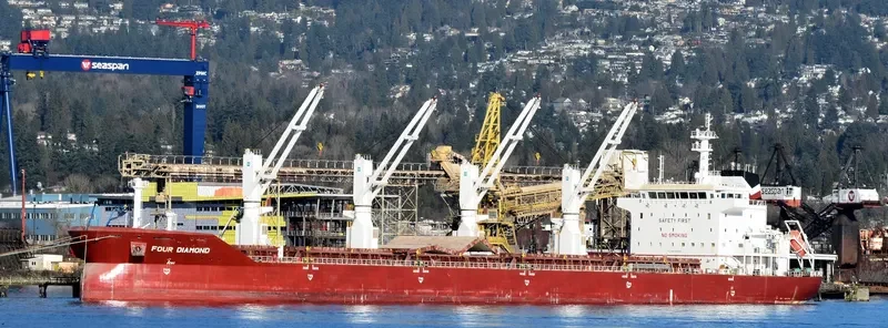 FOUR DIAMOND Bulk Carrier IMO 9416446 photo 9