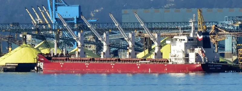 FOUR DIAMOND Bulk Carrier IMO 9416446 photo 10