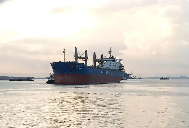 SHENG WANG HAI Bulk Carrier IMO 9416549 photo 2