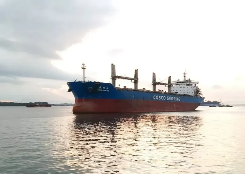 SHENG WANG HAI Bulk Carrier IMO 9416549 photo 3