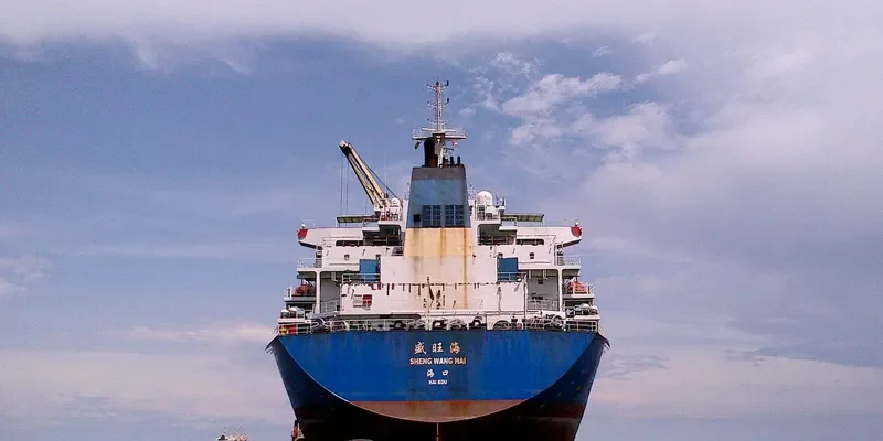 SHENG WANG HAI Bulk Carrier IMO 9416549 photo 6