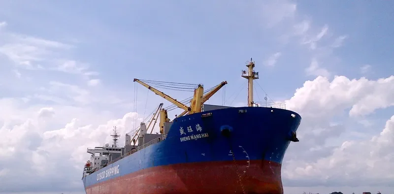 SHENG WANG HAI Bulk Carrier IMO 9416549 photo 7