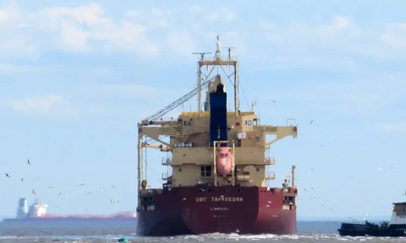 UBC TARRAGONA Bulk Carrier IMO 9416719 photo 8