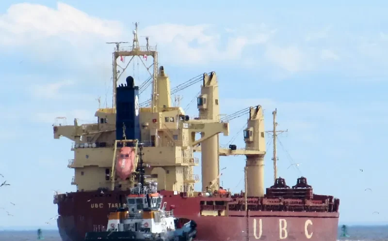 UBC TARRAGONA Bulk Carrier IMO 9416719 photo 9