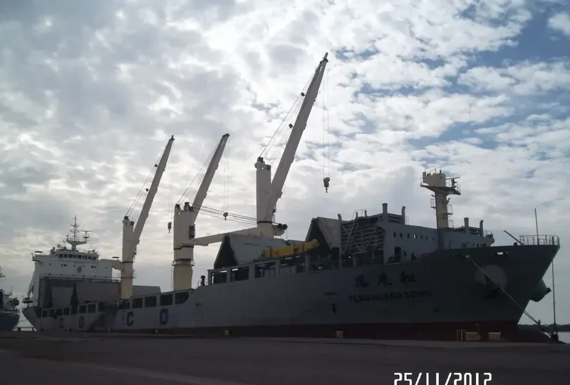 FENG HUANG SONG Container Ship IMO 9416757