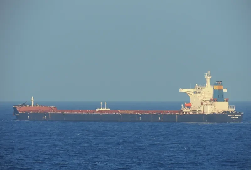 MINERAL NINGBO Bulk Carrier IMO 9416848 photo 8