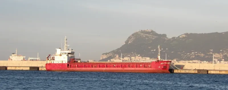 ANA N General Cargo IMO 9416850 photo 2