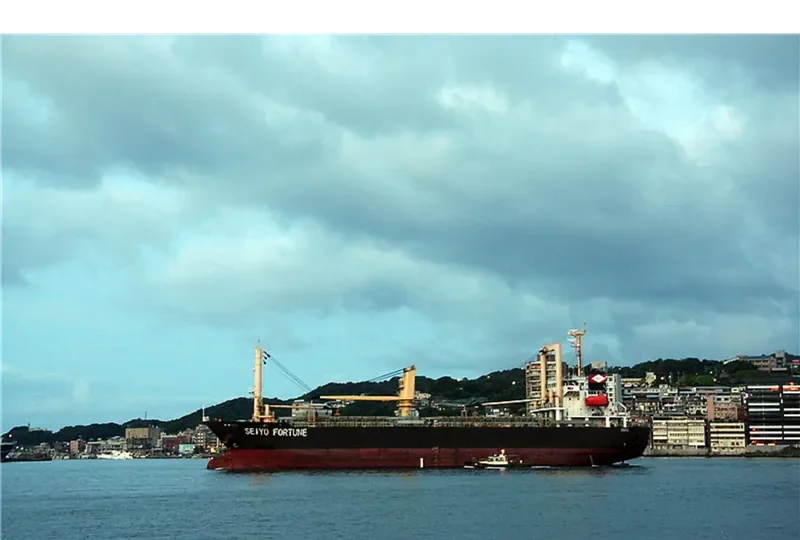SEIYO FORTUNE General Cargo IMO 9417048 photo 2