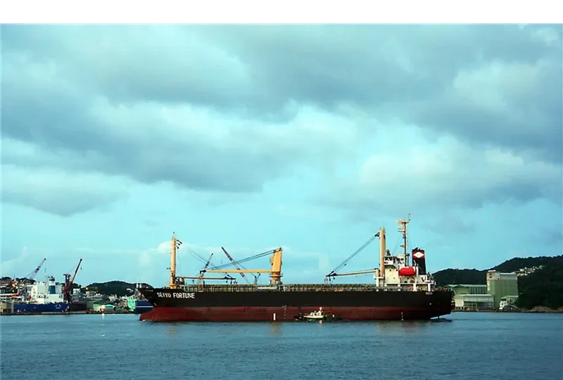 SEIYO FORTUNE General Cargo IMO 9417048 photo 3