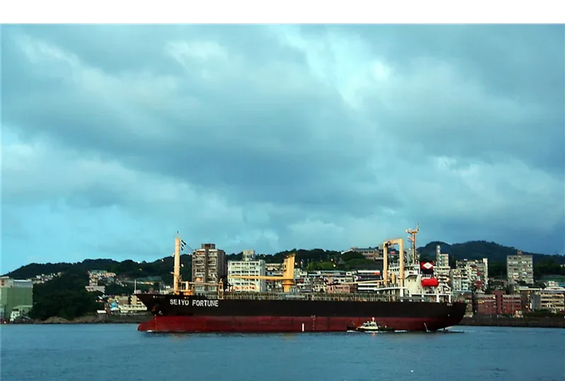 SEIYO FORTUNE General Cargo IMO 9417048 photo 4