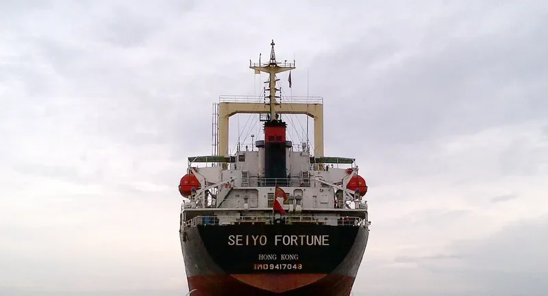 SEIYO FORTUNE General Cargo IMO 9417048 photo 9
