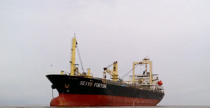 SEIYO FORTUNE General Cargo IMO 9417048 photo 10