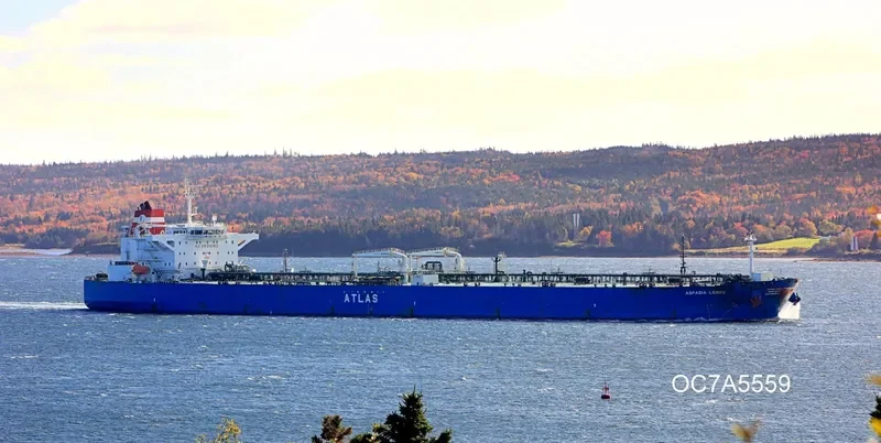 ASPASIA LEMOS Tanker IMO 9417464 photo 3