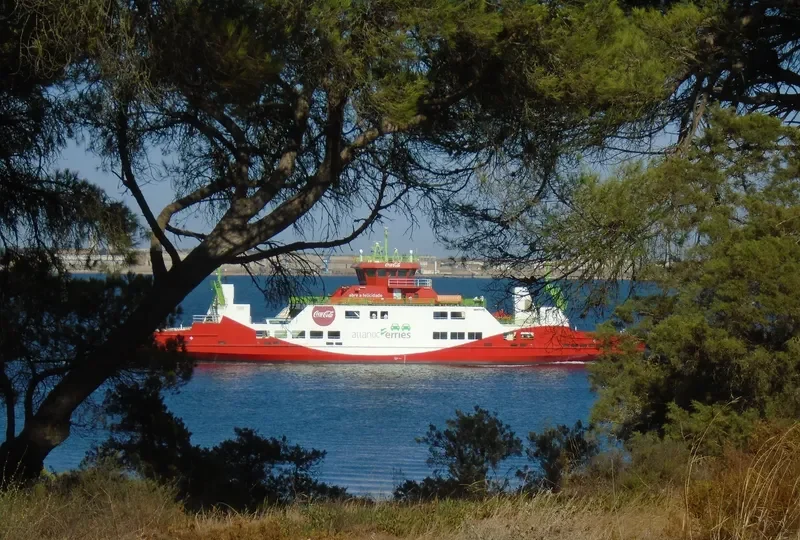 PATO REAL Ro-Ro IMO 9418224