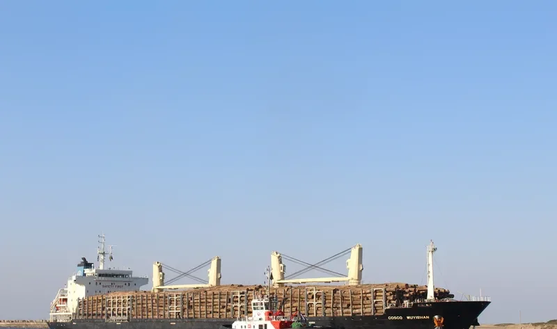COSCO WUYISHAN Bulk Carrier IMO 9418303