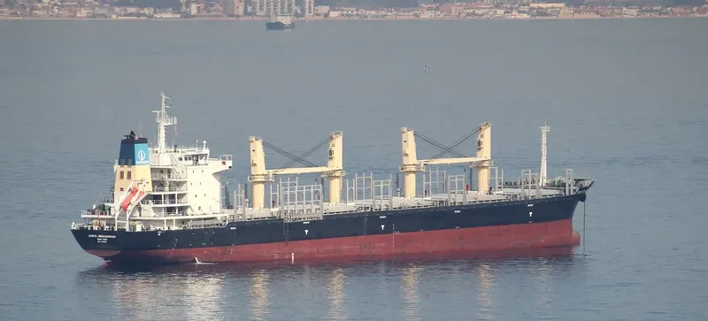 COSCO JINGGANGSHAN General Cargo IMO 9418315 photo 8