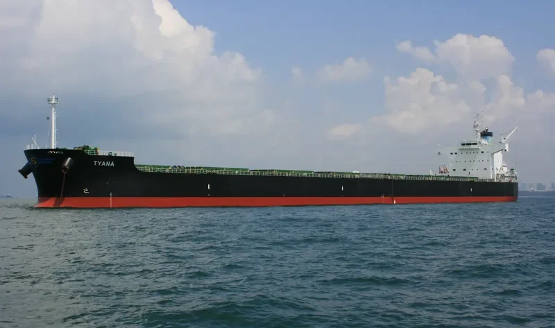 TYANA Bulk Carrier IMO 9418468 photo 2