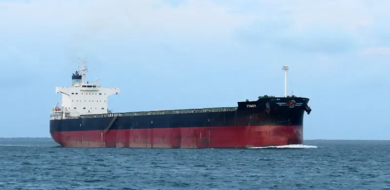 TYANA Bulk Carrier IMO 9418468 photo 7