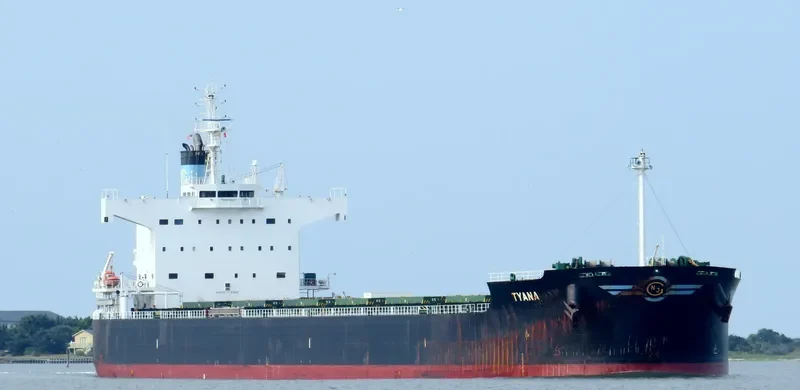 TYANA Bulk Carrier IMO 9418468 photo 10