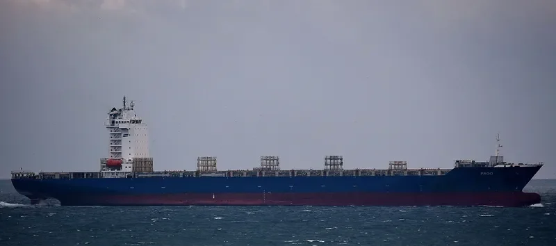 SPIL CAYA Container Ship IMO 9418640 photo 3