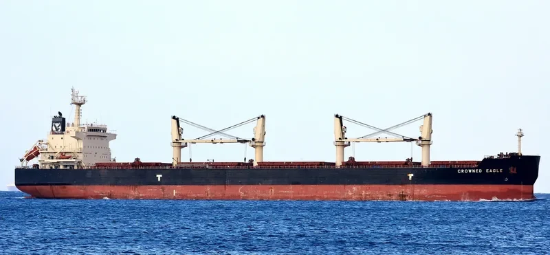 CROWNED EAGLE Bulk Carrier IMO 9418729 photo 3