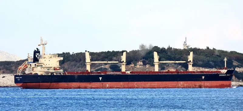 CROWNED EAGLE Bulk Carrier IMO 9418729 photo 4