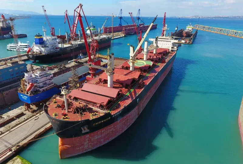 CROWNED EAGLE Bulk Carrier IMO 9418729 photo 7