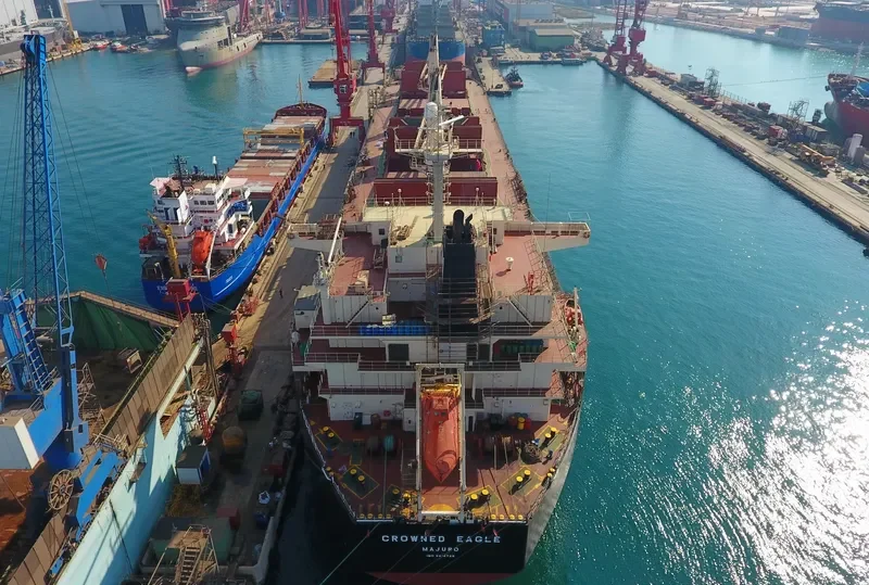 CROWNED EAGLE Bulk Carrier IMO 9418729 photo 9