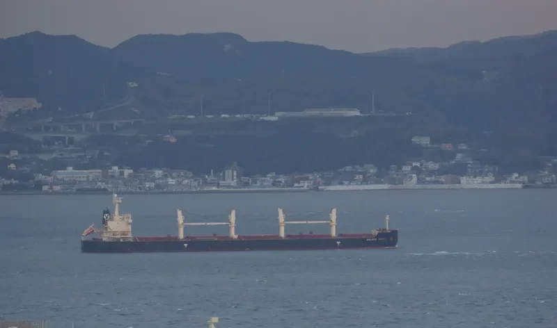 GOLDEN EAGLE Bulk Carrier IMO 9418731 photo 2