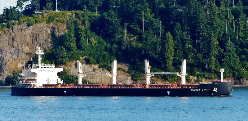 GOLDEN EAGLE Bulk Carrier IMO 9418731 photo 3