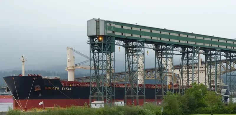 GOLDEN EAGLE Bulk Carrier IMO 9418731 photo 4
