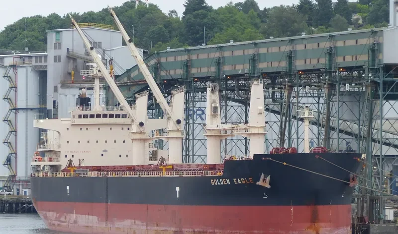 GOLDEN EAGLE Bulk Carrier IMO 9418731 photo 5