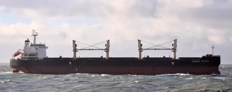 OCEAN FUTURE Bulk Carrier IMO 9418779