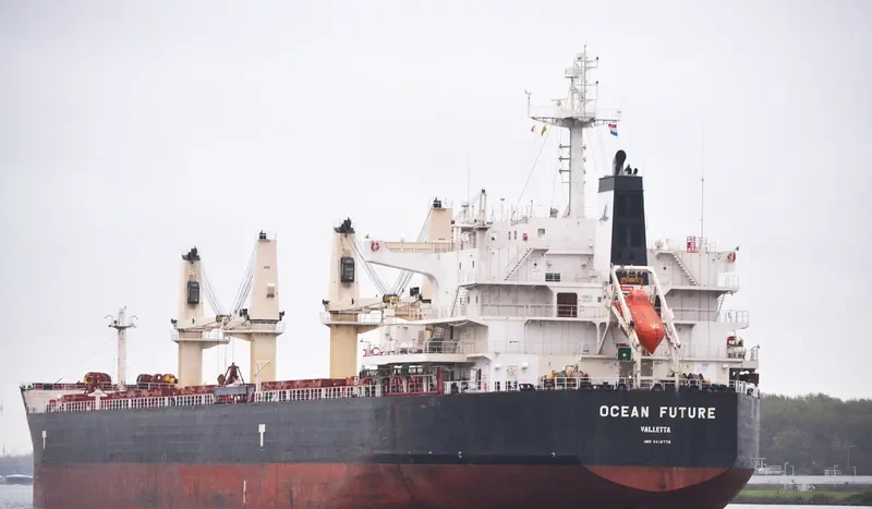 OCEAN FUTURE Bulk Carrier IMO 9418779 photo 2