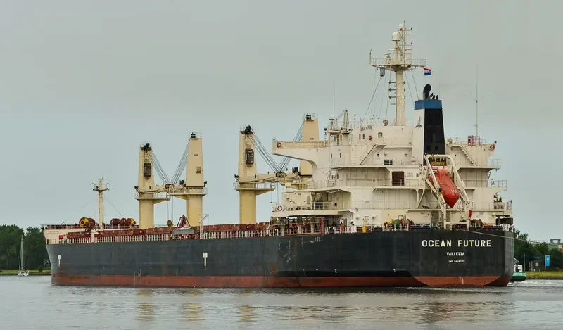 OCEAN FUTURE Bulk Carrier IMO 9418779 photo 4