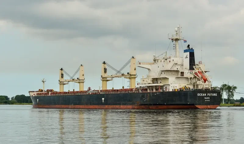 OCEAN FUTURE Bulk Carrier IMO 9418779 photo 5